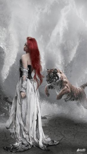 Wallpaper Size Type Gif S