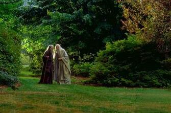 There Was Once A Time Where Saruman Walked In My Woods Lotr