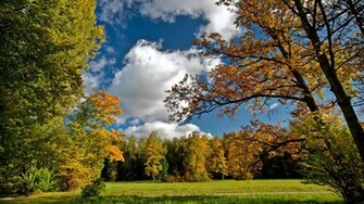 Sunny Autumn Day Wallpaper