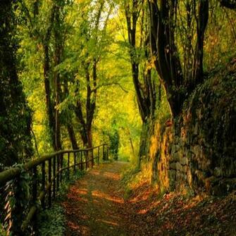 Autumn HD Wallpaper Season