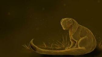 Deviantart More Like Ferret Wallpaper Repost By Puppy Chow