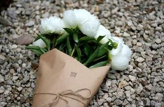Wallpaper Flowers Bouquet White Peonies Desktop