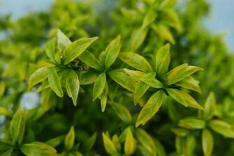 Environmental Stock Photos Image Pictures HD Wallpaper