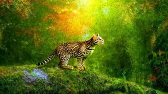 3d Animated Wallpaper