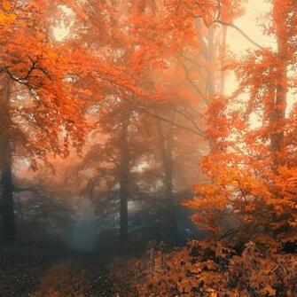 Cool And iPad Wallpaper Case For Your Phone