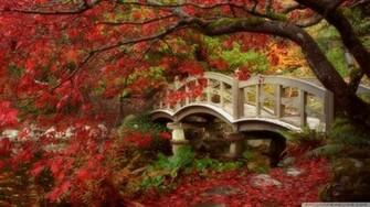 University British Columbia Wallpaper