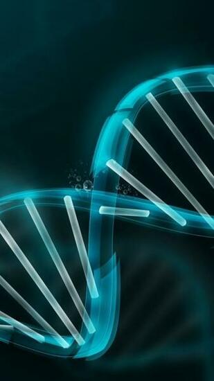 Selected Blackberry Wallpaper For Dna