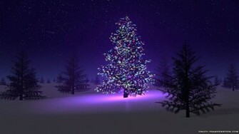 Christmas Night Tree HD Wallpaper