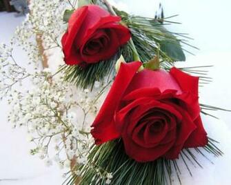 Wallpaper Of Flowers Nature