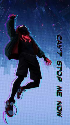 Spiderverse Wallpaper