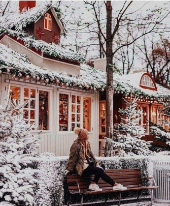 Winter Christmas Lights Wallpaper Aesthetic