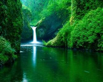 Responses To Nature Wallpaper