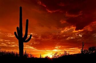 Arizona Computer Forensics Private Investigator