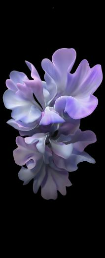 Samsung Galaxy Z Flip Stock Wallpaper