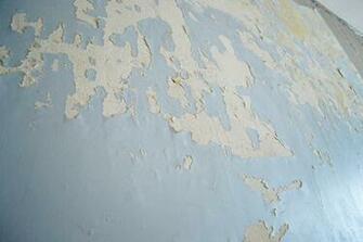 Mothra Sue Co Wallpaper On Old Plaster Walls