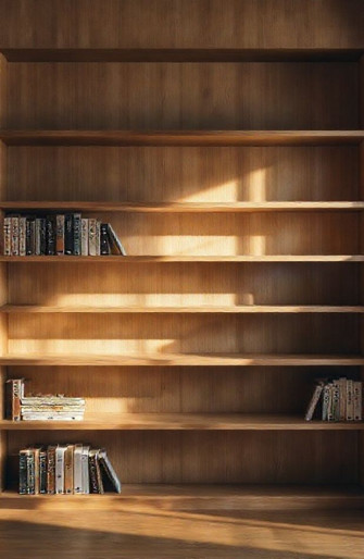 Empty Bookshelf Wallpaper