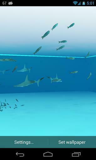 3d Shark Live Wallpaper For Android