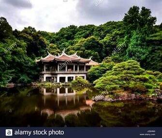 Shinjuku Gyoen National Garden HD Wallpaper Lapizarraeducacion