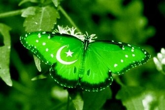 August Pakistan Flag Wallpaper Pictures Photos