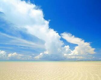 Endless Beach Shore Background Wallpaper