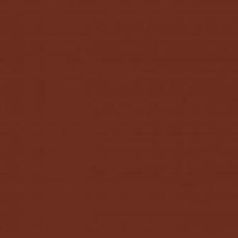 Liver Organ Solid Color Background