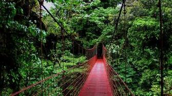 Monteverde Blue Crab Tours Costa Rica