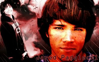 Jared Padalecki Wallpaper By Certainlylostfamegal