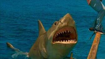 Jaws Wallpaper HD Movie Full 1080p