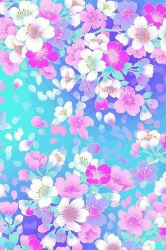 Amazing Beautiful Colorful Flowers Wallpaper For Ipod Touch