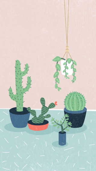 Cactus iPhone Wallpaper