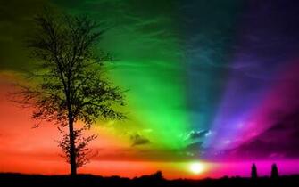 Under The Lambda Sun Wordless Wednesday Pride Wallpaper
