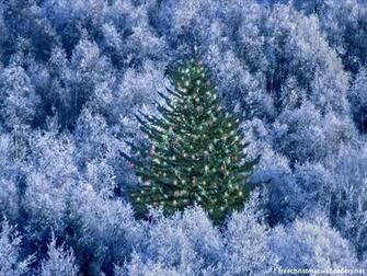 Christmas Screensavers And Wallpaper Tree