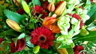 Flower Bouquet Barbaras HD Wallpaper