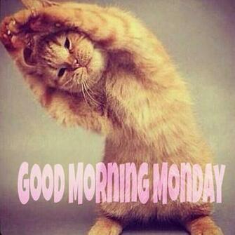 Good Morning Monday Pictures Photos And Image For