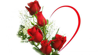 Red Rose Wallpaper Wallperio