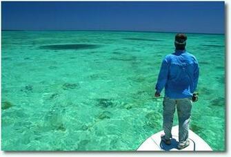 Flats Fishing Wallpaper Florida Keys