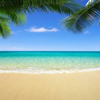 Amazon Fivan Us 250x250cm Summer Photography