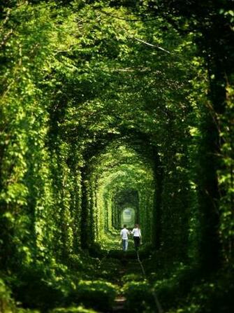 Tunnel Of Love Ukraine Hitfull