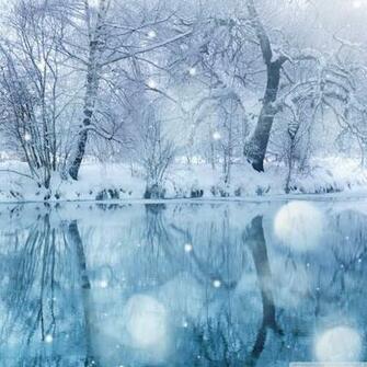 Winter Snowfall 4k HD Desktop Wallpaper For Ultra Tv