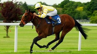 Horse Racing Wallpaper In HD