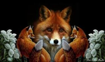 Animal Fox Wallpaper