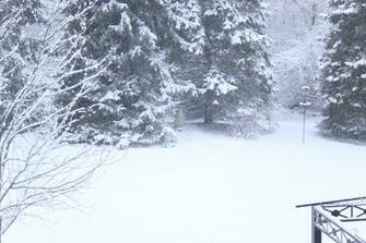 Snow Storm Wallpaper Smscs Photo