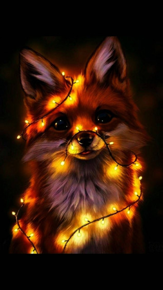 Fox Light Wallpaper By Blue