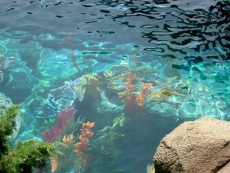 Mermaids Wallpaper Background
