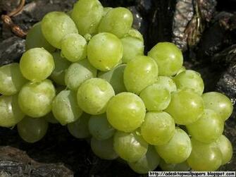 Grape Fruit Desktop Wallpaper Pc