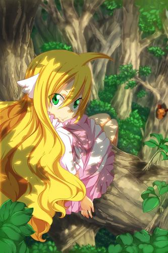 Fairy Tail Image Mavis Vermillion HD Wallpaper And