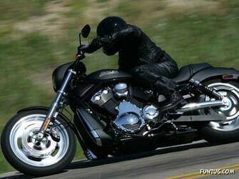 Click To Enlarge Harley Davidson Exclusive Wallpaper