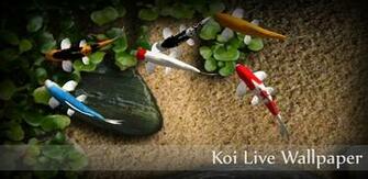 Apk Koi Live Wallpaper V1 Collections
