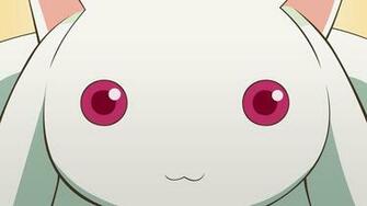 Mahou Shoujo Madoka Magica Kyubey HD Wallpaper Car Pictures