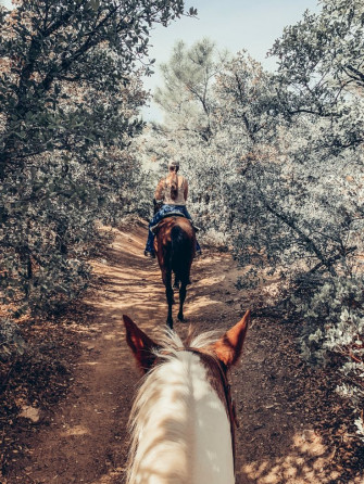 Katieheit03 On Instagram Rodeo Life Funny Horse Pictures